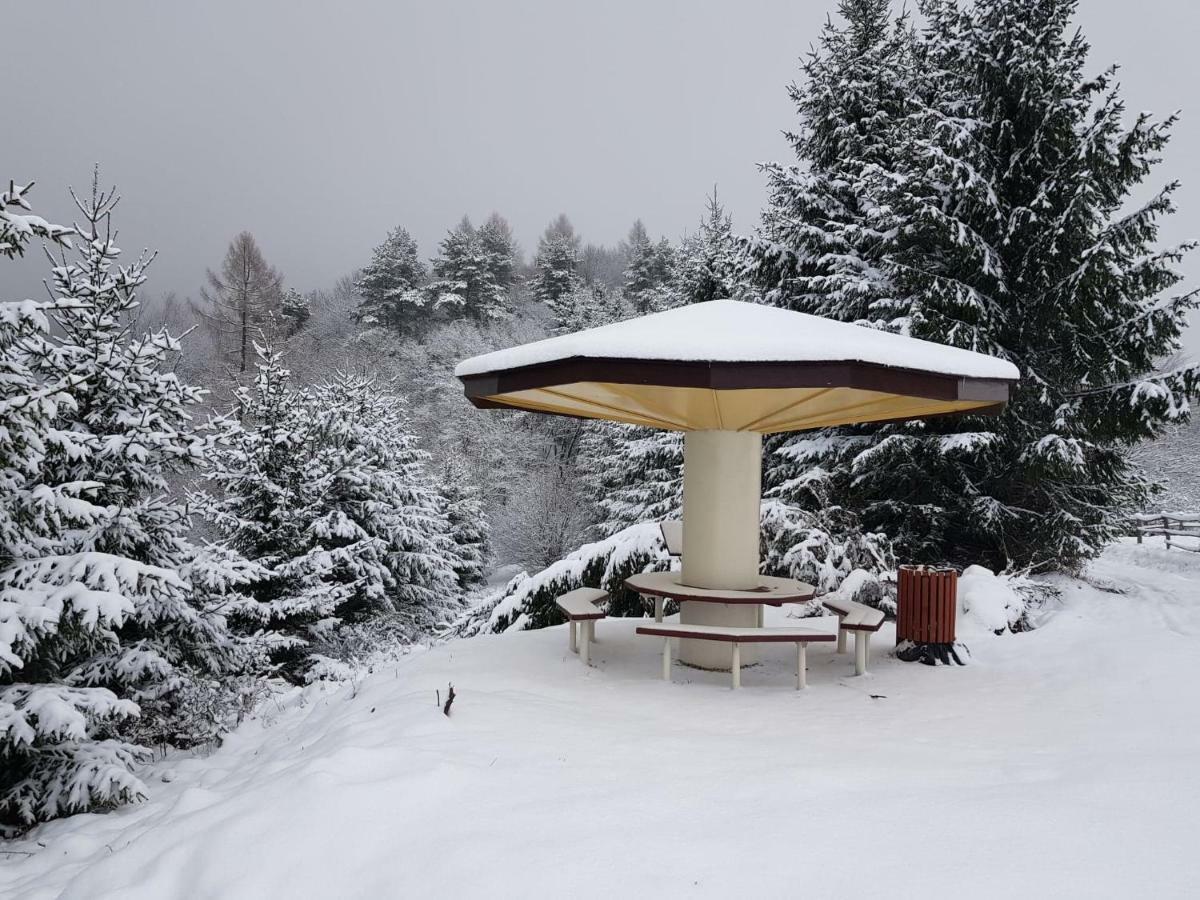 Domki I Pokoje U Ilony Kroscienko nad Dunajcem Bagian luar foto